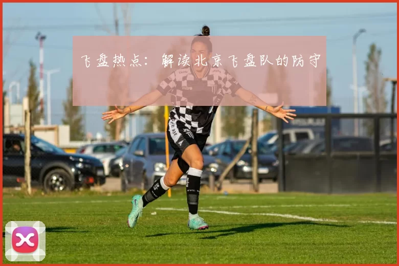 飞盘热点：解读北京飞盘队的防守