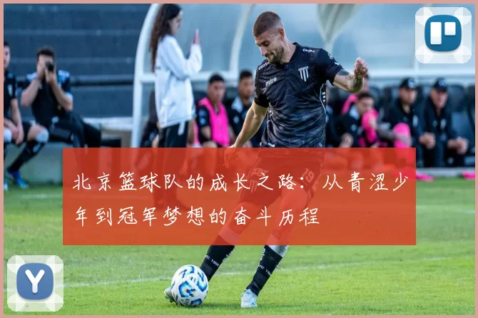 北京篮球队的成长之路：从青涩少年到冠军梦想的奋斗历程