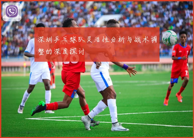 深圳乒乓球队灵活性分析与战术调整的深度探讨