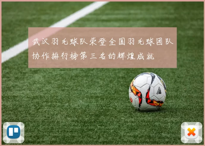 武汉羽毛球队荣登全国羽毛球团队协作排行榜第三名的辉煌成就