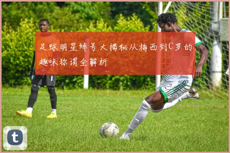 足球明星绰号大揭秘从梅西到C罗的趣味称谓全解析